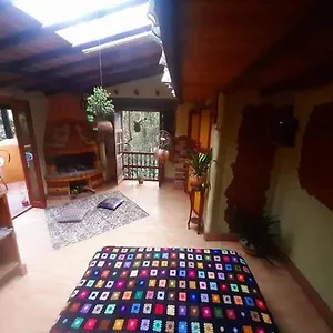 Botanico Medellín